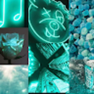 Meet your Posher, Connor